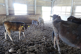 1年生の授業風景