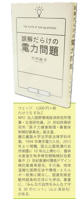 誤解だらけの電力問題