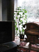 いわき湯本温泉