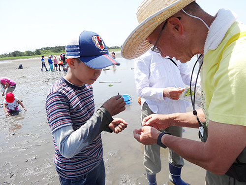 全校児童で生物の観察