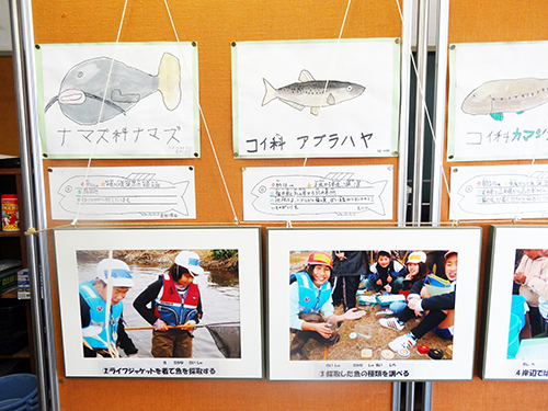 双眼鏡でカワウを観察