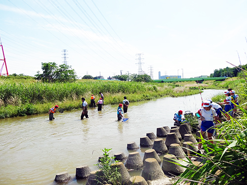 本庄市立藤田小学校