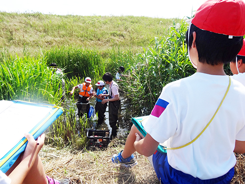 本庄市立藤田小学校