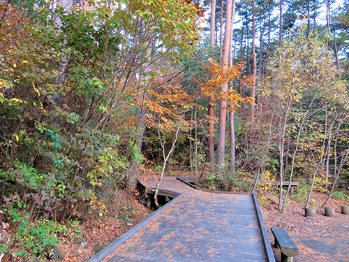 山梨県富士山科学研究所@山梨県富士吉田市