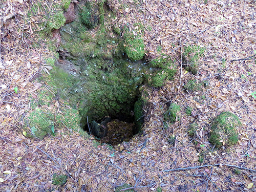 山梨県富士山科学研究所@山梨県富士吉田市