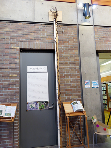 山梨県富士山科学研究所@山梨県富士吉田市