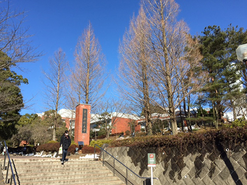 東京薬科大学生命科学部生命エネルギー工学研究室