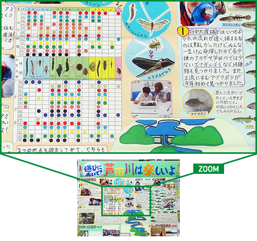 広島県で活動するこどもエコクラブの壁新聞「遊びにおいで!芦田川は楽しいよ!」