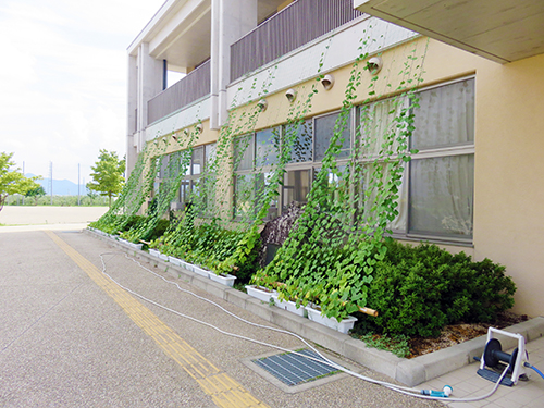 長野市立共和小学校