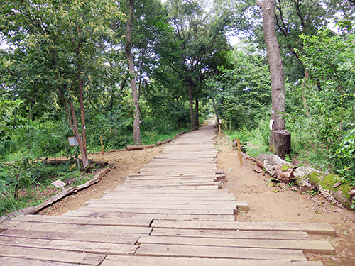 三富今昔村@埼玉県入間郡