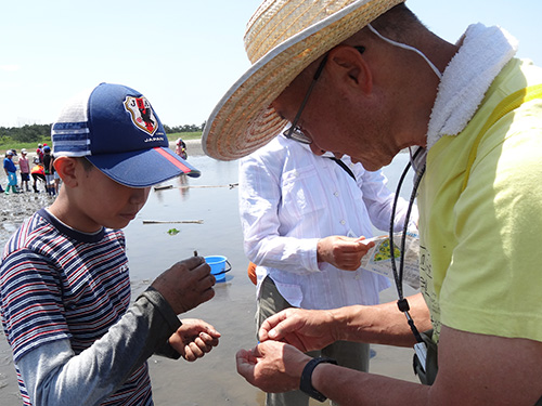木更津市立金田小学校の干潟でのフィールドワーク。