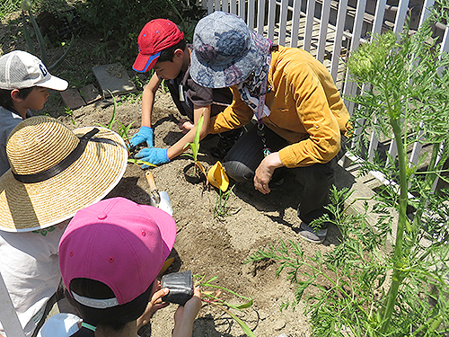 通年プログラム「えこそらキッズ」