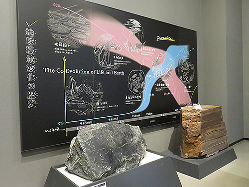 地球環境変化の歴史を伝えるパネルと岩石