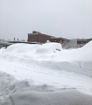 金沢大学の構内