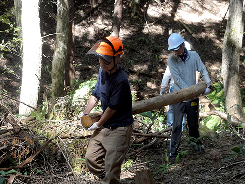 「真庭トンボの森づくり活動」の様子