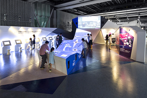 マプサウルスの全身復元骨格